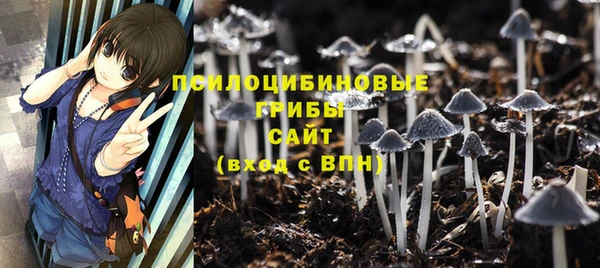 не бодяженный Алзамай