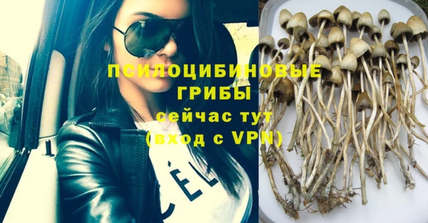 не бодяженный Алзамай