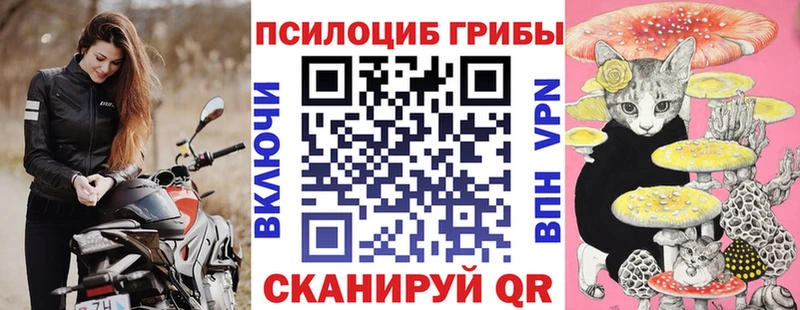 Псилоцибиновые грибы Psilocybe  Ачинск 