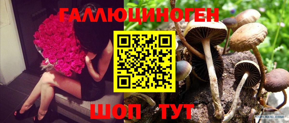 Псилоцибиновые грибы Psilocybine cubensis  Вход с VPN  Ачинск  Галлюциногенные грибы ЛСД 